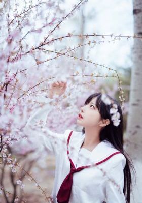 野花韩国高清免费神马_蓝光免费全集观看